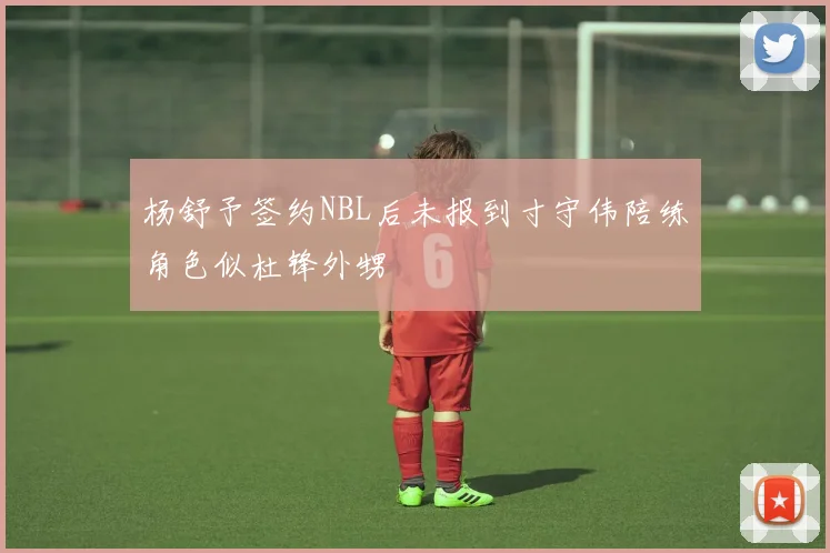 杨舒予签约NBL后未报到寸守伟陪练角色似杜锋外甥
