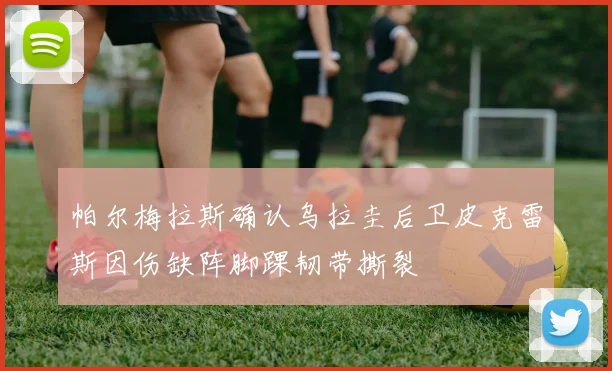 帕尔梅拉斯确认乌拉圭后卫皮克雷斯因伤缺阵脚踝韧带撕裂