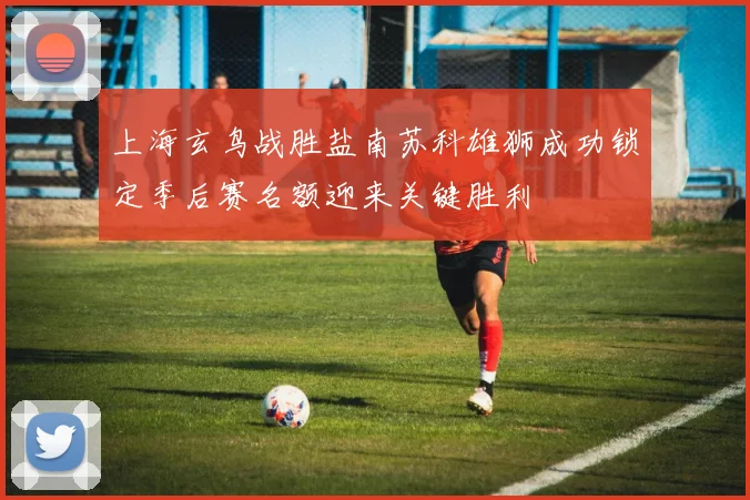 上海玄鸟战胜盐南苏科雄狮成功锁定季后赛名额迎来关键胜利