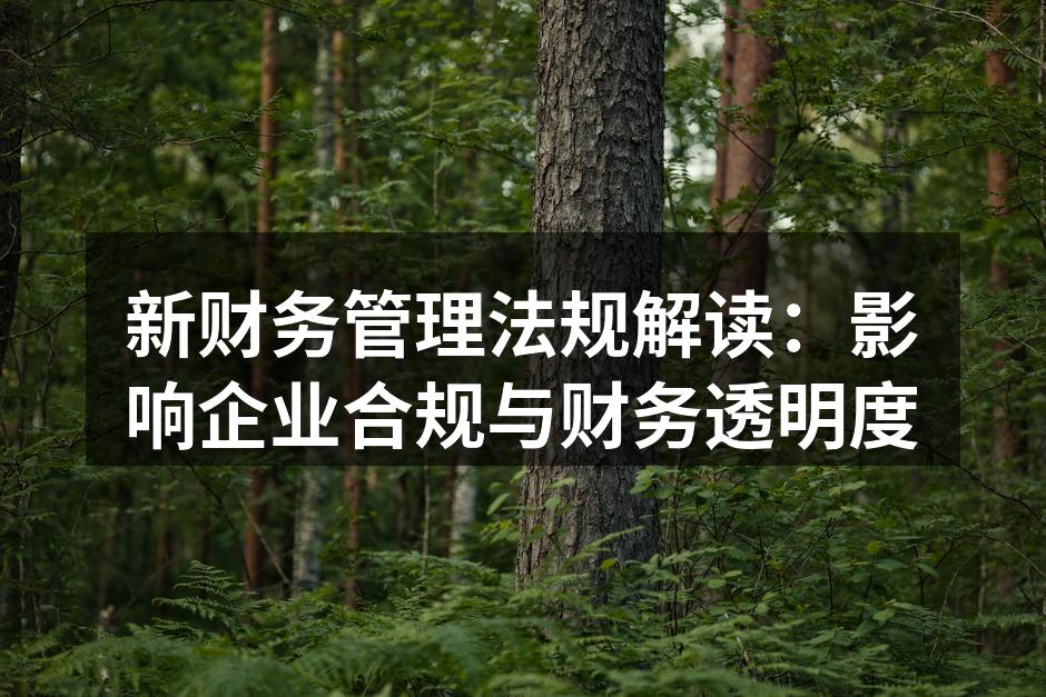 新财务管理法规解读：影响企业合规与财务透